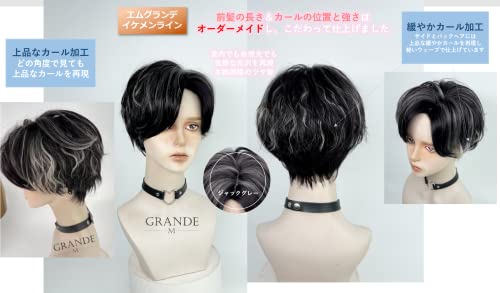 MGRANDE wig premium line 【 active top stylist produce 】 6 items set inner color line men's original wig short small face effect（jack gray DY62A）