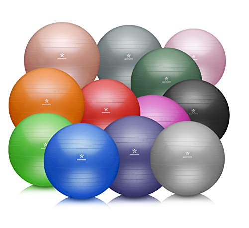 BODYMATE Exercise Ball Sitting Ball Training Ball with Free E-Book Including Air Pump, Ball for Fitness, Yoga, Gymnastics, Core Training, for Strong Back as Office Chair Rose 65 cm