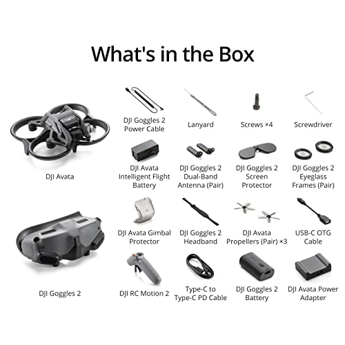 DJI Avata Pro-View Combo (DJI RC Motion 2) - First-Person View Drone UAV Quadcopter with 4K Stabilized Video, Super-Wide 155° FOV, Emergency Brake and Hover, Includes New RC Motion 2 and Goggles 2