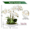 Briful White Orchid Artificial Flowers in Ceramic Pot Fake Orchid White Silk Phalaenopsis Flower Arrangement Artificial Orchid Plant Indoor for Home Office Kitchen Bedroom Wedding Decor