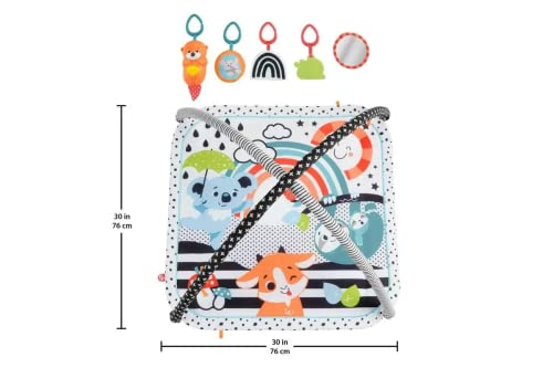 Fisher-Price 3 in 1 Music, Glow & Grow Gym, Infant Activity Play Mat for Tummy Time, Take Along, Multi