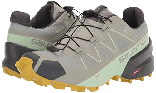 Salomon Women's Speedcross 5 GTX W Trail Running Shoes, Wrought Iron/Spray/Antique Moss, 8 US