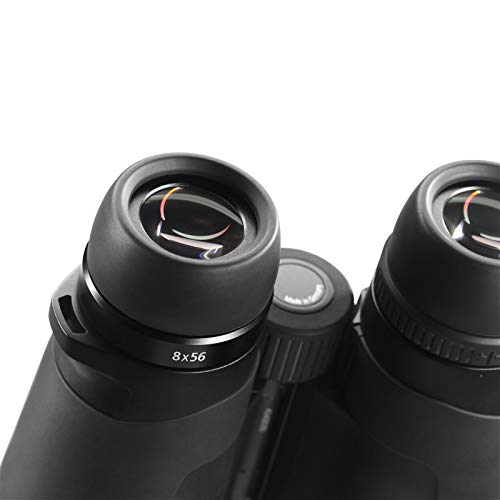 Zeiss 10x32 Conquest HD Binocular with LotuTec Protective Coating (Black)