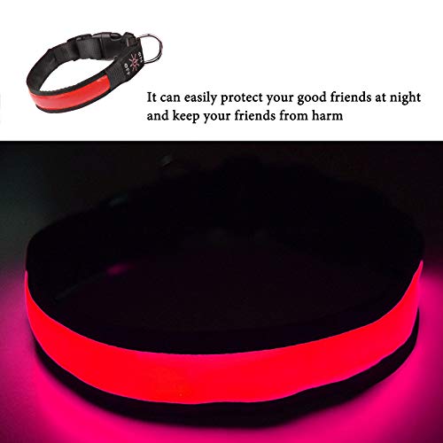 LED Dog Collar Light Up Dog Collar USB Rechargeable Waterproof,Night Dog Band with 3 Glowing Modes,Makes Your Dog Visible, Safe & Seen (Red, M)