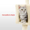 Floofi Cat Tree with Scratching Post & Interactive Cat Toy, Multi-Level Tower & Play House Suitable for Indoors (118 cm, Beige Plush Cat Condo)