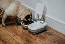 Cat Mate C200 2 Meal Automatic Pet Feeder for Cats and Small Dogs with Ice Pack, White