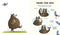 A Bear’s Guide to Beekeeping