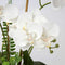 Briful White Orchid Artificial Flowers in Ceramic Pot Fake Orchid White Silk Phalaenopsis Flower Arrangement Artificial Orchid Plant Indoor for Home Office Kitchen Bedroom Wedding Decor