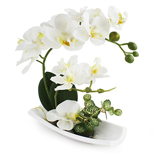 (Milk White) - Dynabit Artificial Orchid Flower Arrangements with White Porcelain Vase, Artificial Bonsai Centrepiece Decoration, Plastic Flowers, Realistic & Lifelike (Milk White)