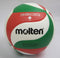 Molten V5M3500 Volleyball No. 5 Practice Ball