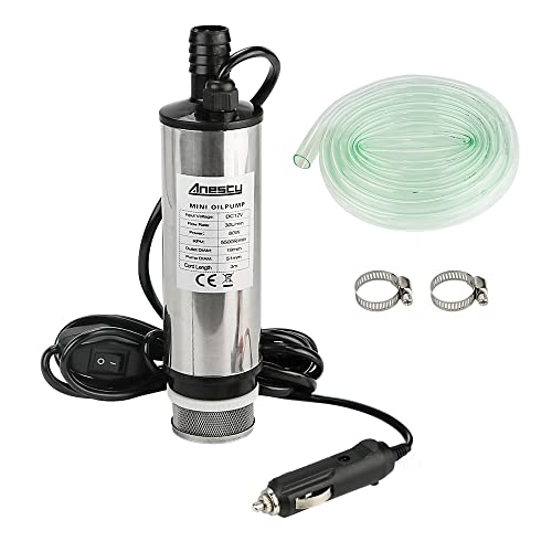 Stainless Steel Transfer Pump 12 V 51 mm Water Pump Submersible Pump for Car Diesel Oil Fuel Transfer Pump with Cigarette Lighter Removable Filter 3 m Cable + PVC Transparent Hose
