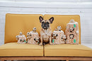 Outward Hound Hide A Squirrel Plush Dog Toy Puzzle, Large