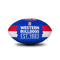 Sherrin AFL Western Bulldogs Song Ball Multicolor