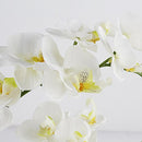 (Milk White) - Dynabit Artificial Orchid Flower Arrangements with White Porcelain Vase, Artificial Bonsai Centrepiece Decoration, Plastic Flowers, Realistic & Lifelike (Milk White)