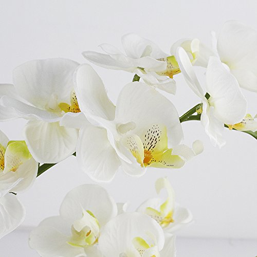 (Milk White) - Dynabit Artificial Orchid Flower Arrangements with White Porcelain Vase, Artificial Bonsai Centrepiece Decoration, Plastic Flowers, Realistic & Lifelike (Milk White)