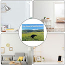 ZKAYX Wall Calendar 2024, Dogs Pooping In Beautiful Places 2024 Calendars January from December for Dog Lovers, Monthly Calendar Planner for Home, Hostel