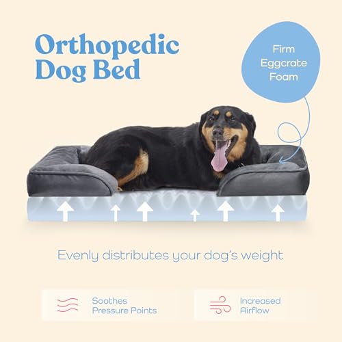 Orthopedic Sofa Dog Bed - Ultra Comfortable Dog Bed for Medium Dogs - Breathable & Waterproof Pet Bed- Egg Foam Sofa Bed with Extra Head and Neck Support - Removable Washable Cover with Nonslip Bottom