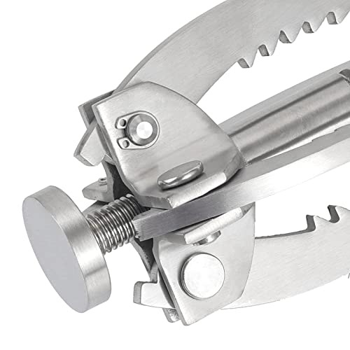 Large Grappling Hook, 4-Claw Folding Stainless Steel Grapple Hooks for Outdoor Survival, Camping, Hiking, Tree &Mountain Climbing