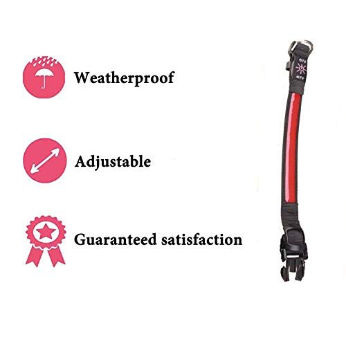 LED Dog Collar Light Up Dog Collar USB Rechargeable Waterproof,Night Dog Band with 3 Glowing Modes,Makes Your Dog Visible, Safe & Seen (Red, M)