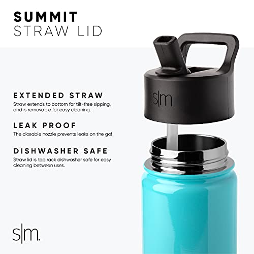 Simple Modern 32 oz Summit Water Bottle with Straw Lid - Gifts for Men & Women Hydro Vacuum Insulated Flask Double Wall Liter - 18/8 Stainless Steel -Prism