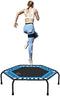 leikefitness Professional Gym Workout 50" Fitness Trampoline Cardio Trainer Exercise Rebounder (No Handle Bar, Blue)