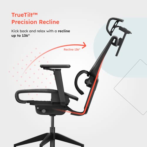 ErgoTune Supreme Ergonomic Office Chair - Adjustable Backrest Desk Chair, Lumbar Support, Headrest, 5D Armrests - High Back Breathable Durable Mesh Recline (Charcoal Black)