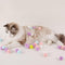 Flamaker Cat Toy Balls with 80Pcs Pompom Ball 1 Launcher Interactive Cat Balls Active Cat Exercise Toys for Indoor Cats with 3 Balls + 80 Pompom Ball