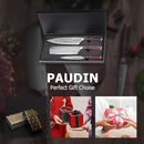 PAUDIN 3 Piece Kitchen Knife Set, German High Carbon Stainless Steel Chef Knife Set with Wooden Handle, Professional Kitchen Knives with Gift Box