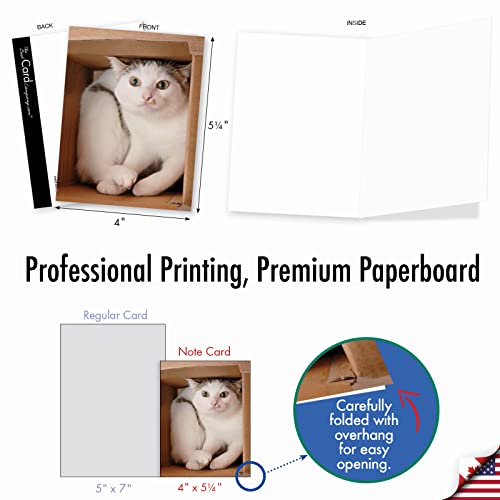 10 Cat-Themed Note Cards with Envelopes, Assorted 'Square Cats' Blank Greeting Cards, All-Occasion Kitten Stationery for Baby Showers, Congratulations, Thank Yous 4 x 5.12 inch M4623OCB-B1x10