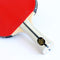 Palio Expert 3.0 Table Tennis Bat & Case - ITTF Approved, Beginner Ping Pong Racket