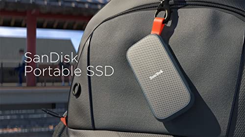 SanDisk SDSSDE30-2T00-G25 2TB Portable SSD, up to 520MB/s Read Speed Grey