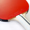Palio Expert 3.0 Table Tennis Bat & Case - ITTF Approved, Beginner Ping Pong Racket
