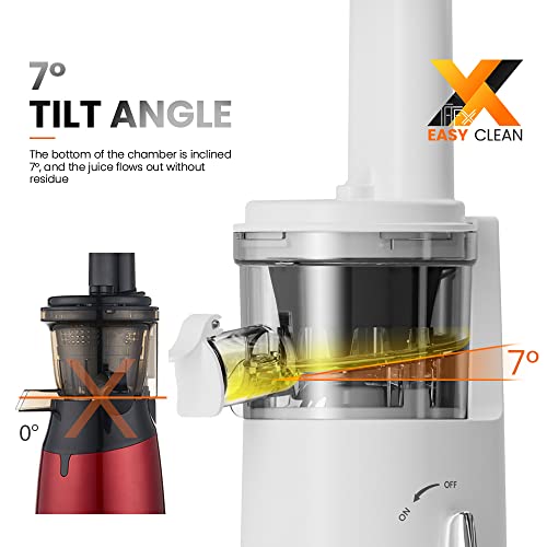 MIUI Slow Juicer FFX Easy-to-clean Electric Juice Maker, Lemon Fruit Blender, Mini Portable Can Make Ice Cream, 2022NEW Mini-Pro (Green)