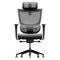 ErgoTune Supreme Ergonomic Office Chair - Adjustable Backrest Desk Chair, Lumbar Support, Headrest, 5D Armrests - High Back Breathable Durable Mesh Recline (Charcoal Black)