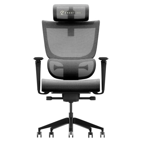 ErgoTune Supreme Ergonomic Office Chair - Adjustable Backrest Desk Chair, Lumbar Support, Headrest, 5D Armrests - High Back Breathable Durable Mesh Recline (Charcoal Black)