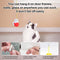 Hanging Cat Toys for Indoor Cats,Kitten Toys 5Pack Cat Exercise Toy,Hanging Door Bouncing Cat Toy with Super Suction Cup, Suction Window Cat Teaser Toy for Indoor Cats Kitten Play Chase Practice (5 PCS)