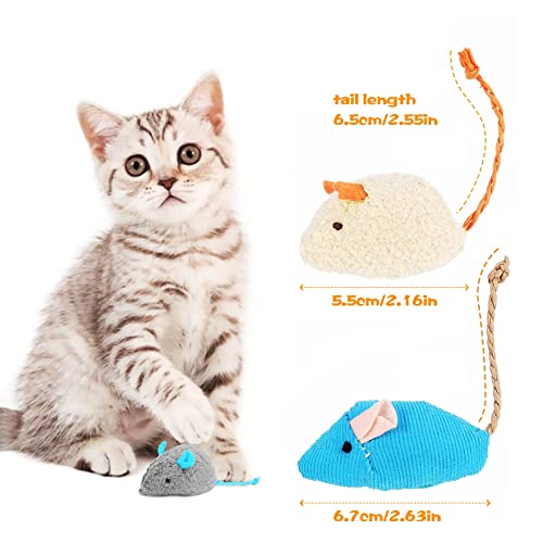 QUREZA Cat Toys, Silvervine Sticks for Cats, 3 Pack Natural Catnip Chew Toys for Kittens Teeth Cleaning, Matatabi Dental Care, Increase Appetite, Calm Cat Anxiety and Stress, Aggressive Chewers Cat Dental Toy
