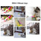 Cat Laser Pointer Toy, Proxima Direct Upgraded 5-in-1 Indoor Interactive Kitten Cat Toy, USB Rechargeable LED Light Pointer, Toy for Cat Dog Chasing Play and Training Exercise (Silver)