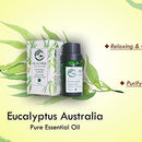 HEALTREE Eucalyptus Essential Oil - Australian 100% Pure Eucalyptus Oil for Diffuser & Humidifier Aromatherapy (10ml)