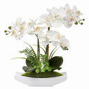 Briful White Orchid Artificial Flowers in Ceramic Pot Fake Orchid White Silk Phalaenopsis Flower Arrangement Artificial Orchid Plant Indoor for Home Office Kitchen Bedroom Wedding Decor