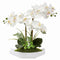 Briful White Orchid Artificial Flowers in Ceramic Pot Fake Orchid White Silk Phalaenopsis Flower Arrangement Artificial Orchid Plant Indoor for Home Office Kitchen Bedroom Wedding Decor