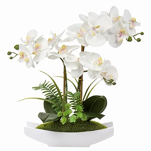 Briful White Orchid Artificial Flowers in Ceramic Pot Fake Orchid White Silk Phalaenopsis Flower Arrangement Artificial Orchid Plant Indoor for Home Office Kitchen Bedroom Wedding Decor