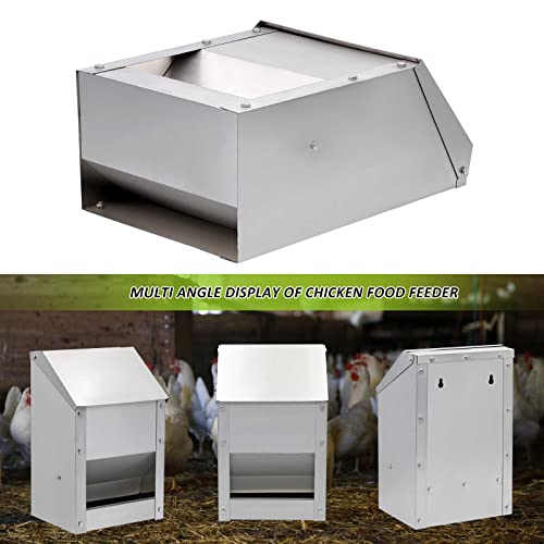 ZHEQOGZH Stainless Steel Hanging Chicken Feeder with Lid No Waste Weatherproof Metal Automatic Poultry Feeder Wall Mount Outdoor Chicken Coop Food Dispenser Feeder for Chickens Ducks (10Lbs)