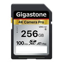 Gigastone 256GB SD Card V30 SDXC Memory Card High Speed 4K Ultra HD UHD Video Compatible with Canon Nikon Sony Pentax Kodak Olympus Panasonic Digital Camera