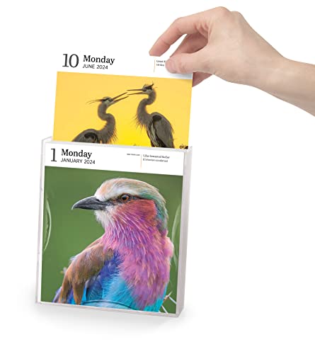 Audubon Birds Page-A-Day Gallery Calendar 2024: Hundreds of Birds, Expertly Captured by Top Nature Photographers