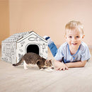 Bankers Box at Play Color in Cat House