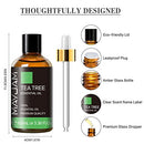 Tea Tree Essential Oil for Diffuser, MAYJAM Pure Essential Oils, Huge 3.38FL.OZ Bottle, Tea Tree Oil with Glass Dropper