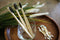 EcoFiji 5 Pack Bamboo Toothbrush