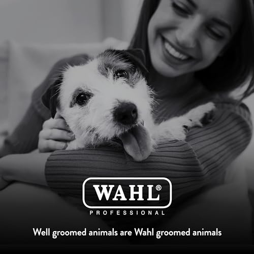 Wahl Professional Animal #10 Medium Competition Series Detachable Blade with 1/16-Inch Cut Length (#2358-100),Steel