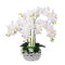 Artificial Orchid White Silk Orchids Plant Phalaenopsis Flowers Faux Flower Orquideas Grandes with Silver Vase Orquidea para Decorar Arrangements in Pot Table Centerpieces for Home Decoration Indoor